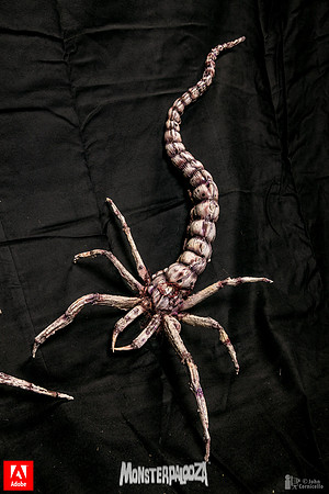 monsterpalooza-2017-1382
