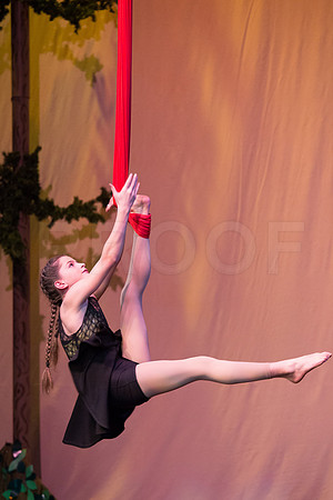 cornicello-cirrus-2016s-84