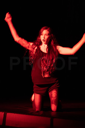 sanca_transformational_2019-26